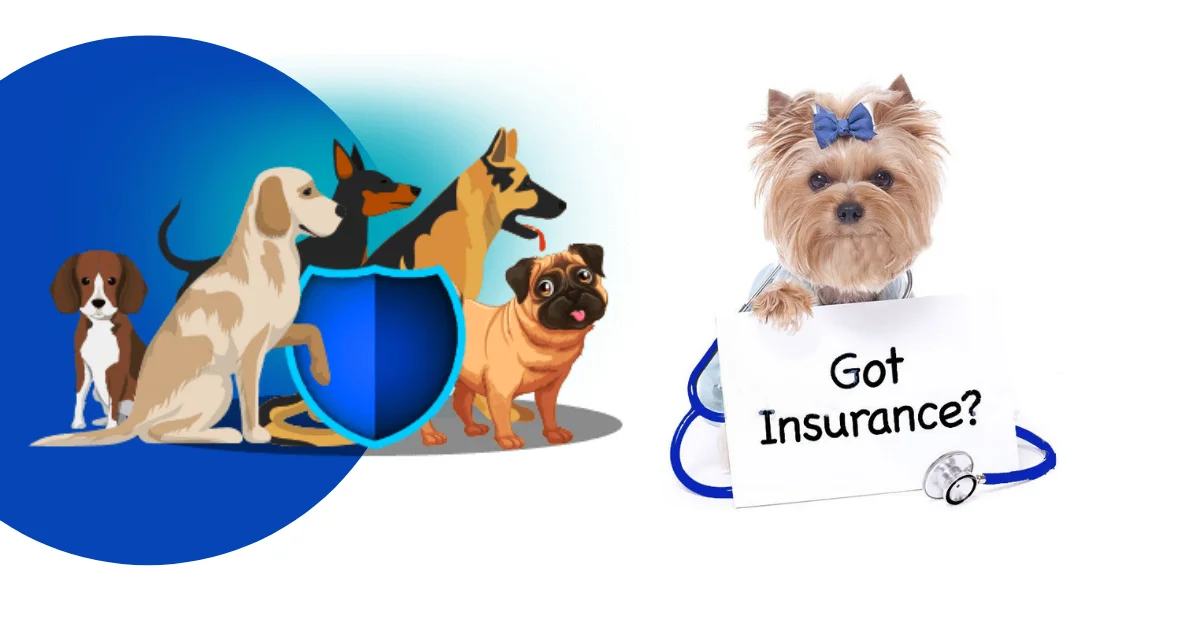 Uk best pet insurance