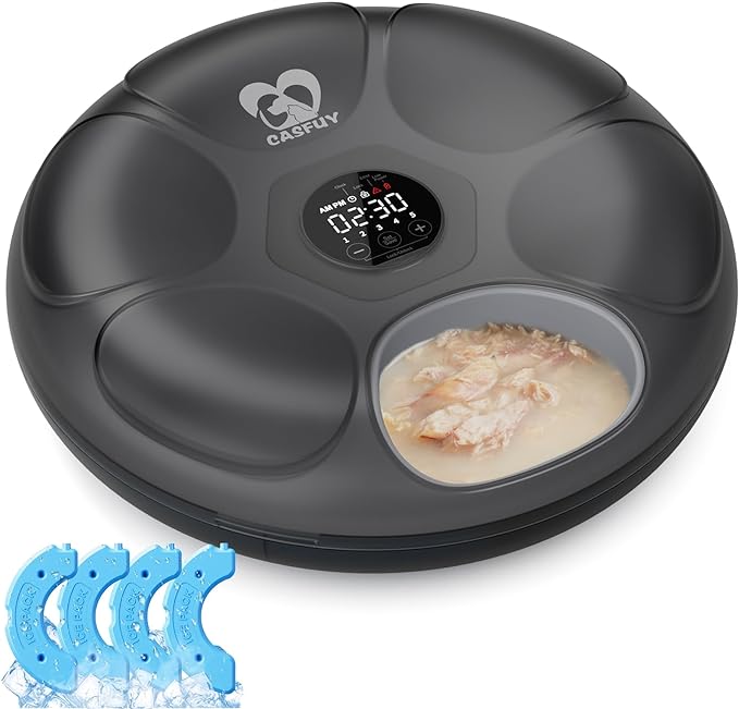 Automatic cat feeder wet food