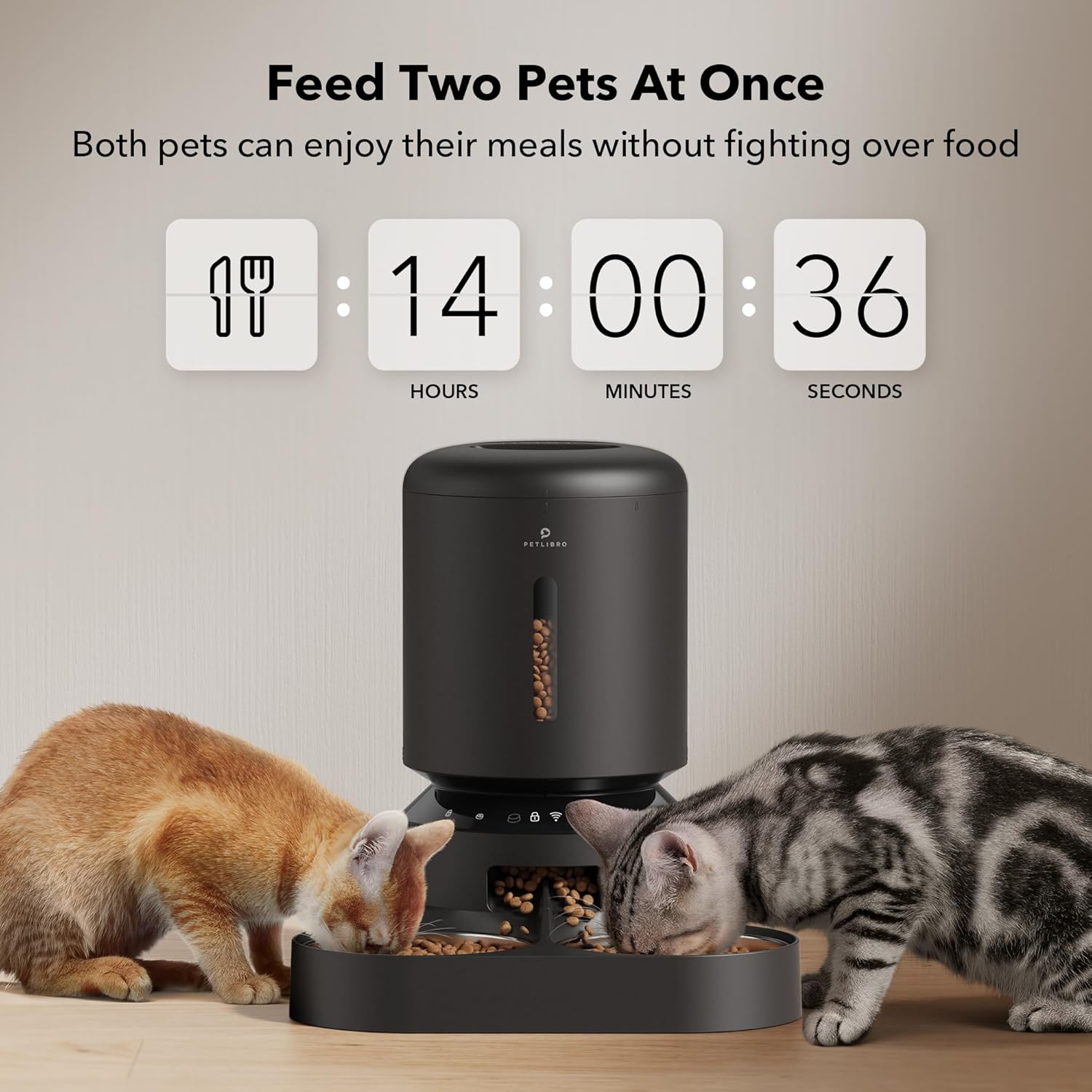 cat feeder